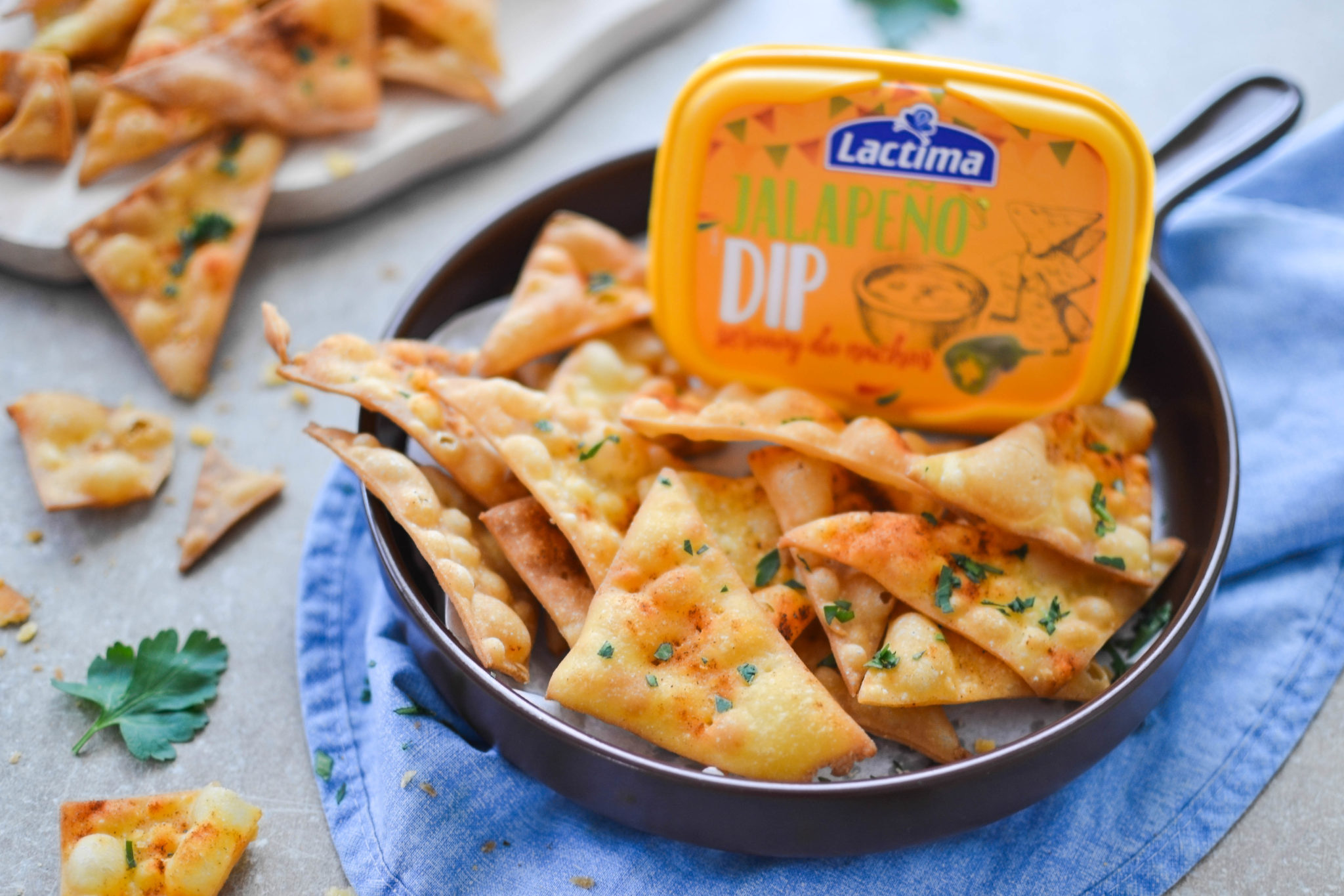 Домашні начоси